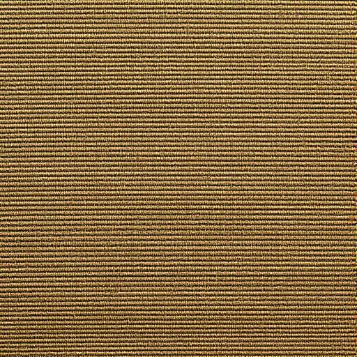 Coyote Brown